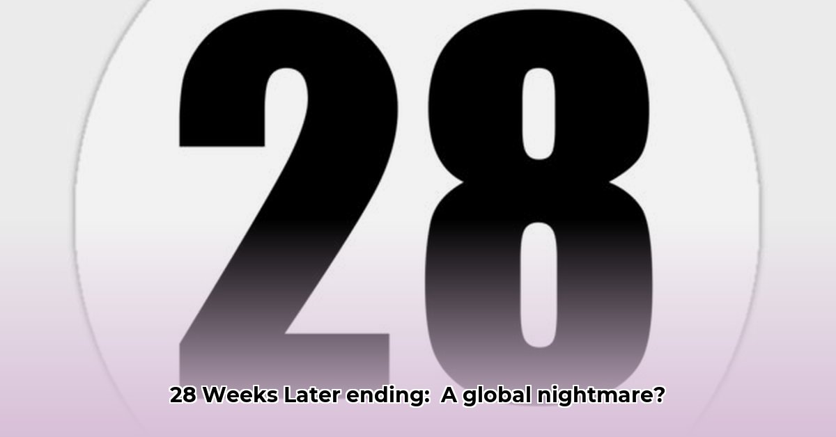 28-weeks-later-ending-explained